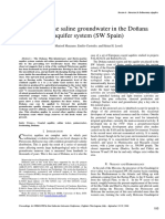 Pleistocene saline GW in Doñana aquif_Manzano et al_19SWIM