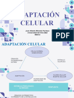 Adaptación celular y respuesta inflamatoria