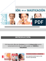 RegulaciÃ³n MasticaciÃ³n 2021