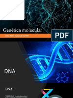 DNA E RNA