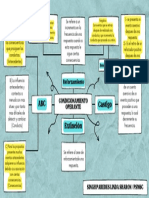 Condicionamiento Operante Mapa Conceptual