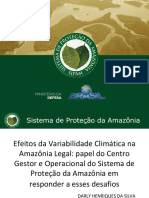 Sistema de Proteção Da Amazonia