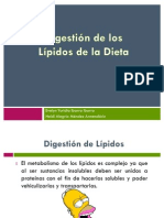 Lipidos Ingestion