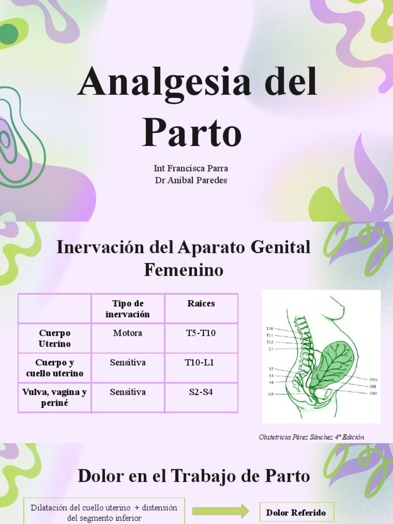 Analgesia Del Parto | PDF | Parto | Ciencias de la Salud