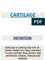 cartilage