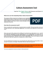 Culture Assessment Tool: An Analysis Tool Based On and Cameron and Quinn's