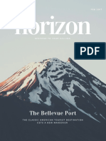 Horizon: The Bellevue Port