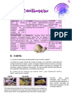 Filo Mollusca-Jazmín Ortigoza-Zoología