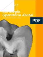 Guia de Carielogia y Operatoria Dental - Aula 2022-2