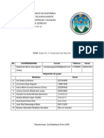 Grupo No. 4 Acepciones Derecho Final