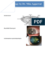 Ophthalmology by Dr. Niha Aggarwal: Lensstructure