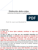 Distinción Dolo-Culpa (Postítulo Teoría y Prática en Derecho Penal)