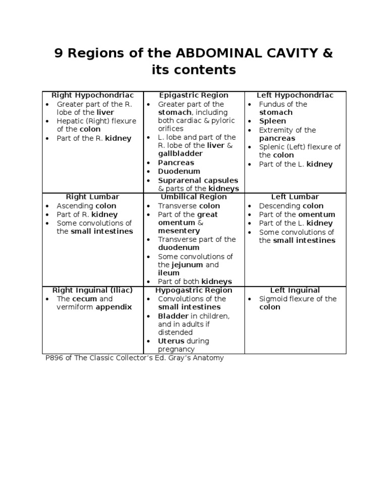 9 Regions of the Abdominal Cavity