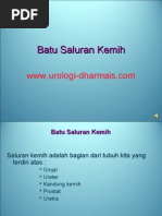 Download Batu Saluran Kemih by Rachmat Santoso SN5867648 doc pdf