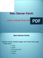 Batu Saluran Kemih