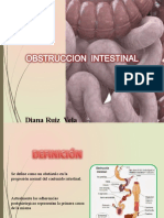 Obstruccionintestinal 12