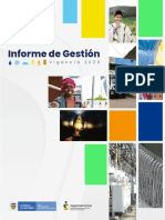 Informe de Gestion - V 2020