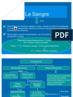 Diapo Sangre Estudiar