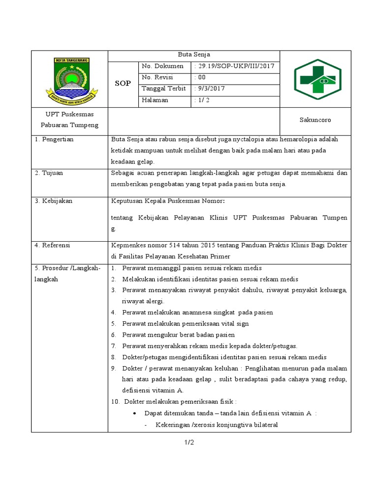 Panduan Penanganan Buta Senja | PDF