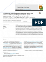 Guilherme Costa Fausto, Mariana Costa Fausto, Formulation control of equine gastrointestinal parasitic nematodes