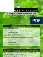 2.2 Organ Utama Pertukaran Gas