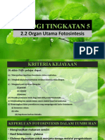 2.4 Organ Utama Fotosintesis