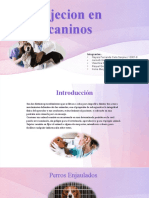 Semiologia Sujecion en Caninos