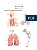 SISTEM RESPIRASI