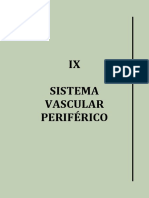 IX Sistema Vascular Periférico
