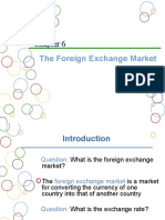 The Foreign Exchange Market