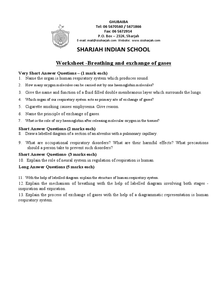 Breathing & Gas Exchange Worksheet | PDF