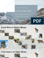 Alpine Biome Food Web