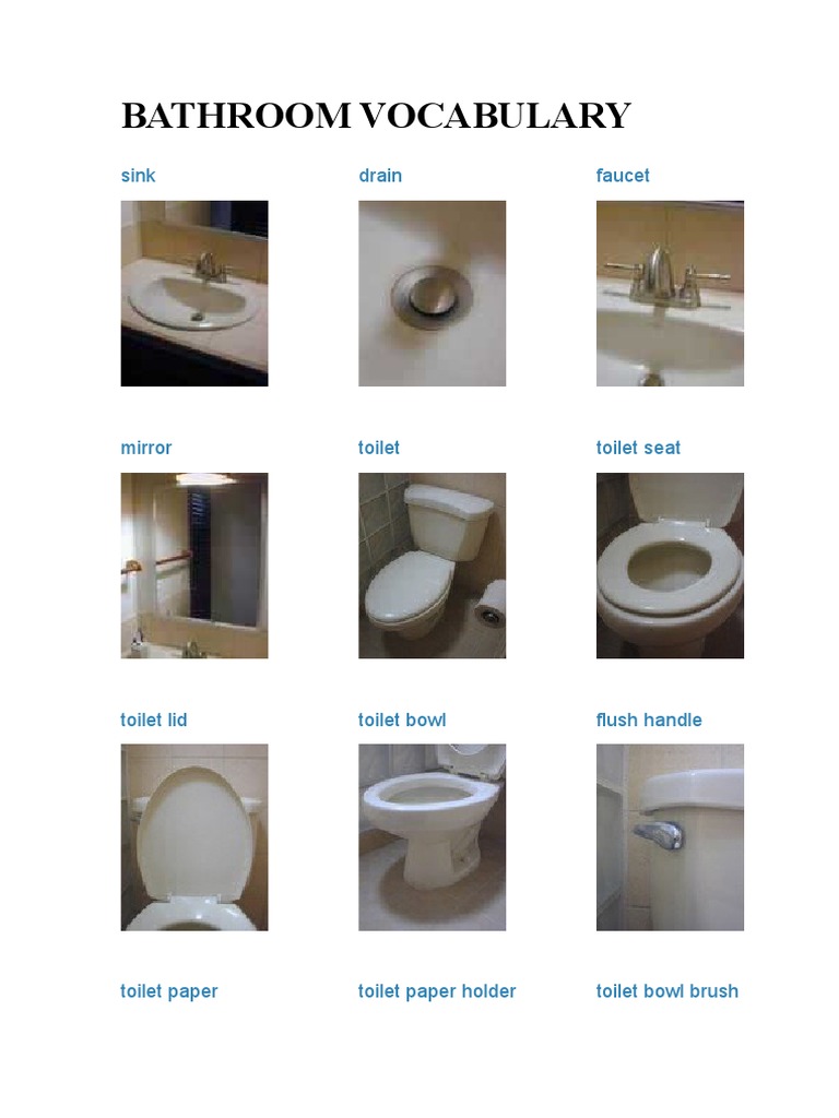 Bathroom Vocabulary: Sink Drain Faucet | PDF | Bathroom | Toilet