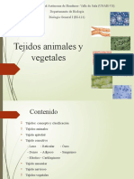 Tejidos Animales y Vegetales