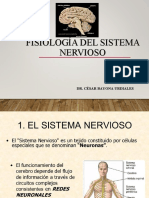 Fisiología Del SN I