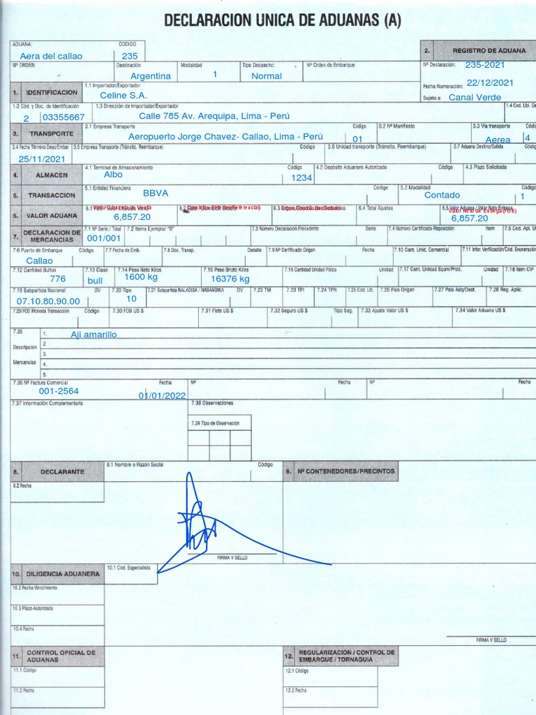 Formato DAM para Declaración Aduanera | PDF