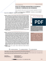 VARIAÇÕES ANATÔMICAS DA ARTÉRIA MESENTÉRICA SUPERIOR E SUAS IMPLICAÇÕES CLÍNICAS E CIRÚRGICAS EM HUMANOS 2020