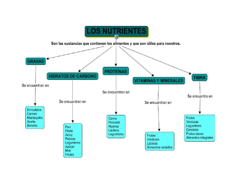 Mapa Conceptual de Los Alimentos | PDF