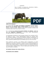 Elefante