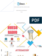 Anatomia Radio Por Carlos Andres Garcia 74022 Downloable 1559862
