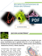 Enfermedades Infectocontagiosas de Origen Bacteriano MODIFICADO