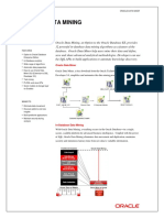 Oracledatamining11gr2datasheet v4 133319