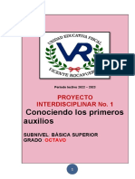 Proyecto Interdisciplinar 1 Octavo 2022