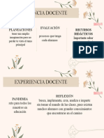 Experiencia Docente