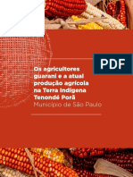 AgriculturaGuarani_14mb
