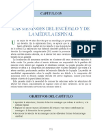 Neuroanatomia Clinica Snell (Meninges)