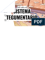 Sistema Tegumentario