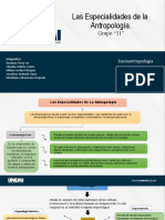 Especialidades de La Antropologia