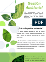 Clase 2. Gestion Ambiental. Gestion Ambiental de Obras Civiles.