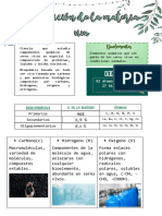 BIO - Composición de La Materia Viva